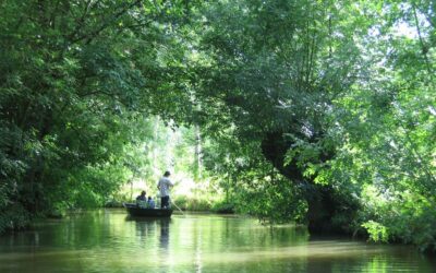 Le Marais Poitevin – Entre la Vendée et les Deux-Sèvres
